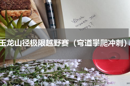 玉龙山径极限越野赛（弯道攀爬冲刺）