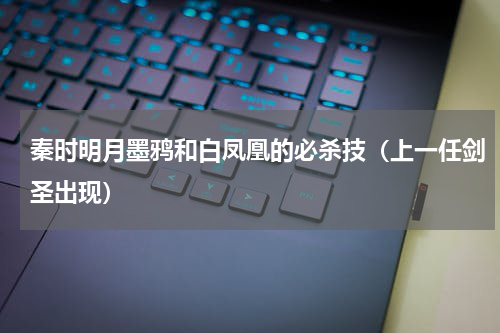 秦时明月墨鸦和白凤凰的必杀技（上一任剑圣出现）