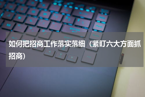 如何把招商工作落实落细（紧盯六大方面抓招商）