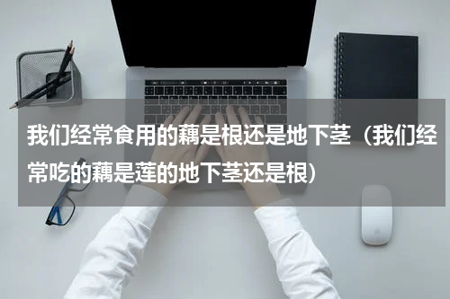 我们经常食用的藕是根还是地下茎（我们经常吃的藕是莲的地下茎还是根）