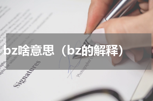 bz啥意思（bz的解释）