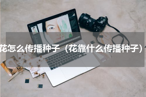 花怎么传播种子（花靠什么传播种子）