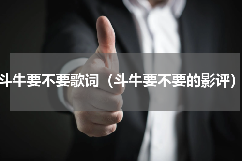 斗牛要不要歌词（斗牛要不要的影评）