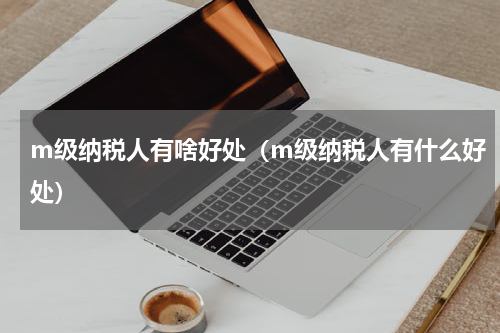 m级纳税人有啥好处（m级纳税人有什么好处）