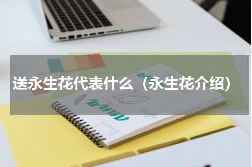 送永生花代表什么（永生花介绍）