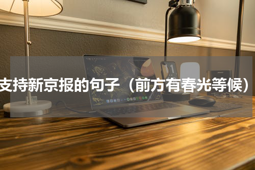 支持新京报的句子（前方有春光等候）