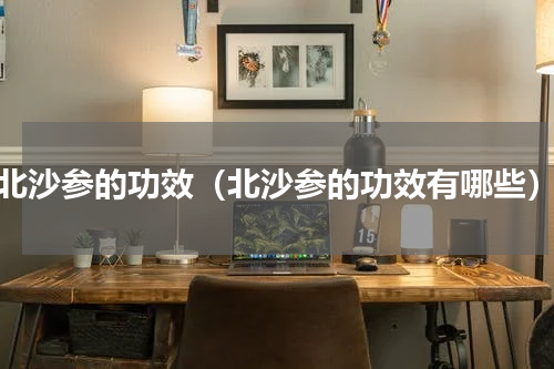 北沙参的功效（北沙参的功效有哪些）