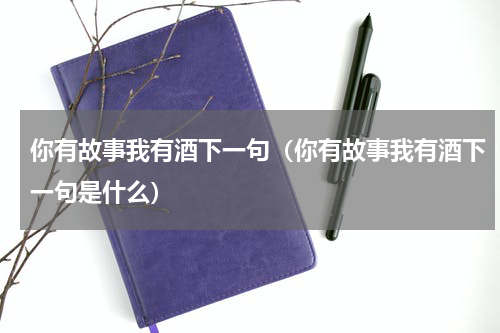 你有故事我有酒下一句（你有故事我有酒下一句是什么）