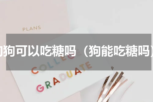 狗狗可以吃糖吗（狗能吃糖吗）