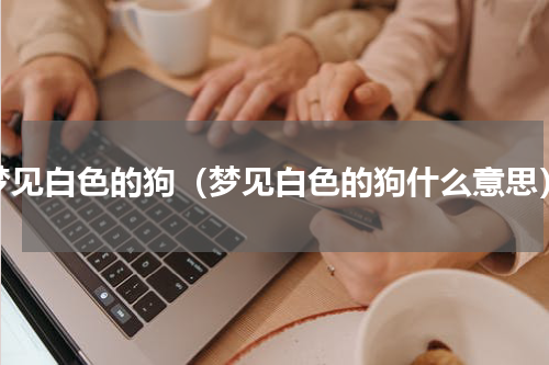 梦见白色的狗（梦见白色的狗什么意思）