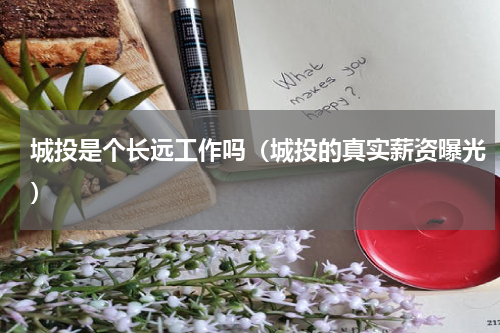 城投是个长远工作吗（城投的真实薪资曝光）