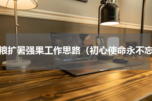 稳粮扩暑强果工作思路（初心使命永不忘）