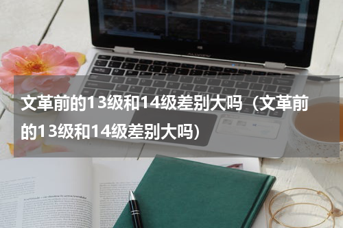 文革前的13级和14级差别大吗（文革前的13级和14级差别大吗）