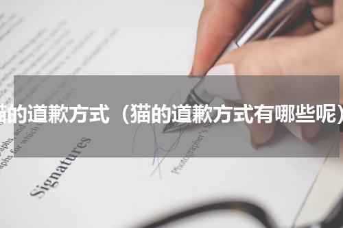 猫的道歉方式（猫的道歉方式有哪些呢）