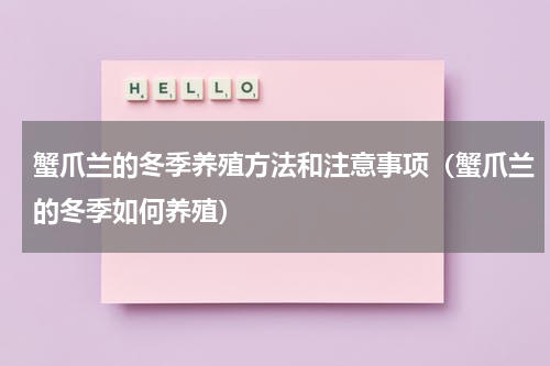 蟹爪兰的冬季养殖方法和注意事项（蟹爪兰的冬季如何养殖）