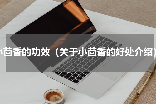 小茴香的功效（关于小茴香的好处介绍）