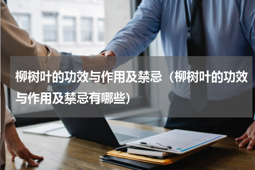 柳树叶的功效与作用及禁忌（柳树叶的功效与作用及禁忌有哪些）