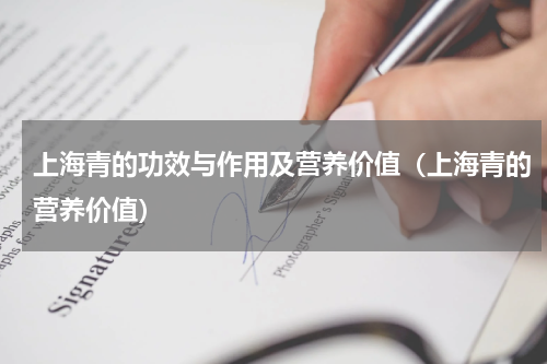 上海青的功效与作用及营养价值（上海青的营养价值）