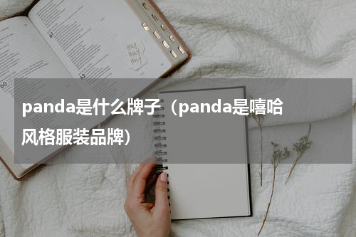 panda是什么牌子（panda是嘻哈风格服装品牌）