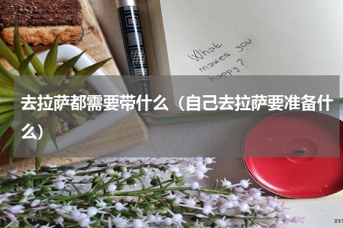 去拉萨都需要带什么（自己去拉萨要准备什么）