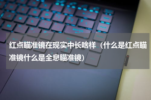 红点瞄准镜在现实中长啥样（什么是红点瞄准镜什么是全息瞄准镜）