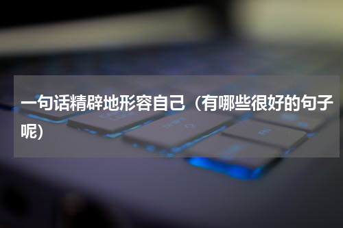 一句话精辟地形容自己（有哪些很好的句子呢）
