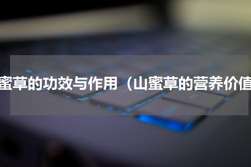 山蜜草的功效与作用（山蜜草的营养价值）
