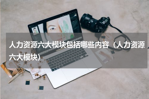 人力资源六大模块包括哪些内容（人力资源六大模块）