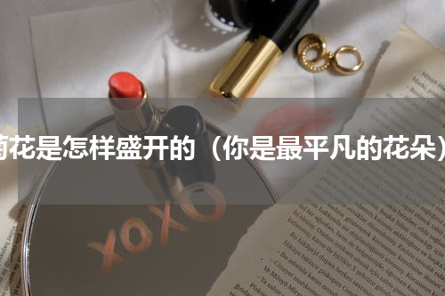 菊花是怎样盛开的（你是最平凡的花朵）
