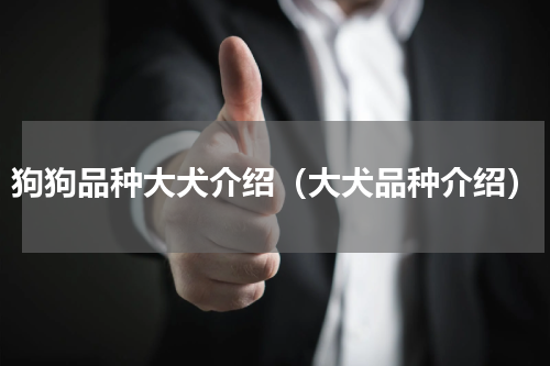 狗狗品种大犬介绍（大犬品种介绍）
