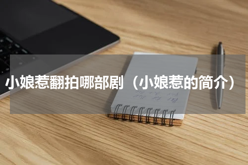 小娘惹翻拍哪部剧（小娘惹的简介）