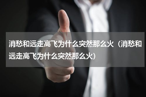 消愁和远走高飞为什么突然那么火（消愁和远走高飞为什么突然那么火）