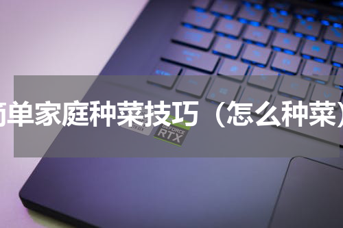 简单家庭种菜技巧（怎么种菜）