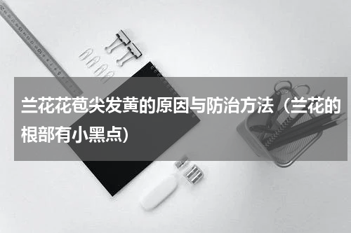 兰花花苞尖发黄的原因与防治方法（兰花的根部有小黑点）