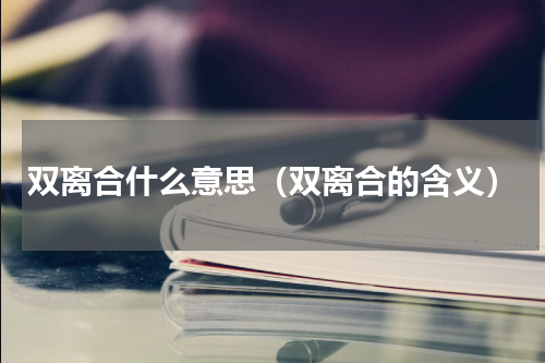 双离合什么意思（双离合的含义）