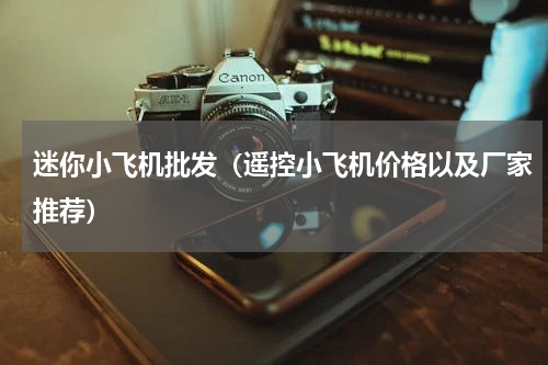 迷你小飞机批发（遥控小飞机价格以及厂家推荐）