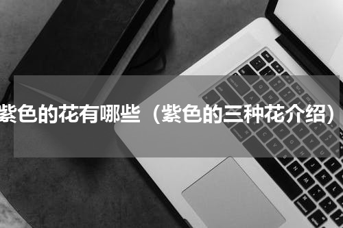 紫色的花有哪些（紫色的三种花介绍）