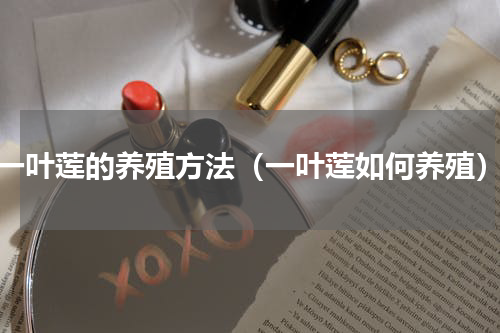 一叶莲的养殖方法（一叶莲如何养殖）