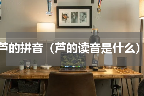 芦的拼音（芦的读音是什么）