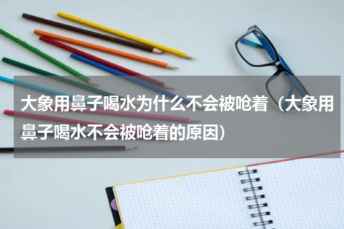 大象用鼻子喝水为什么不会被呛着（大象用鼻子喝水不会被呛着的原因）