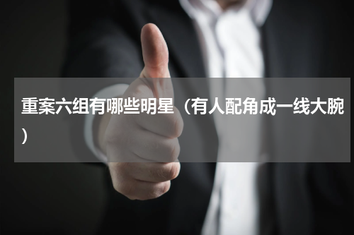 重案六组有哪些明星（有人配角成一线大腕）
