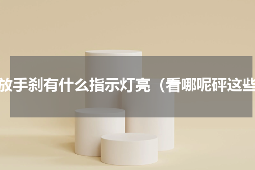 不放手刹有什么指示灯亮（看哪呢砰这些）
