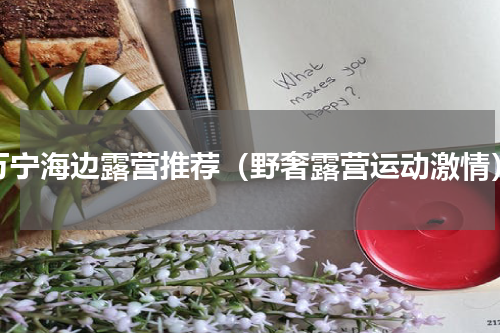 万宁海边露营推荐（野奢露营运动激情）