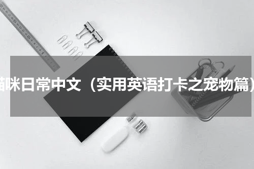 猫咪日常中文（实用英语打卡之宠物篇）