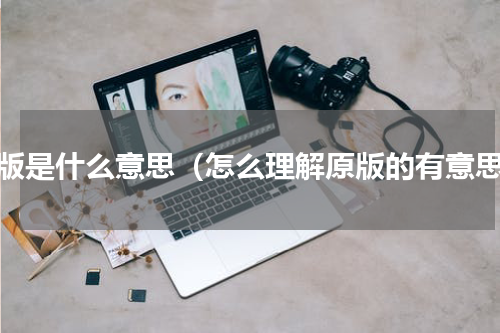 原版是什么意思（怎么理解原版的有意思）
