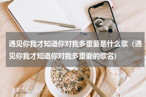 遇见你我才知道你对我多重要是什么歌（遇见你我才知道你对我多重要的歌名）