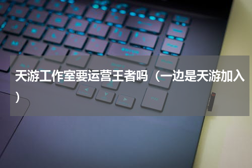 天游工作室要运营王者吗（一边是天游加入）