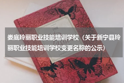 娄底玲丽职业技能培训学校（关于新宁县玲丽职业技能培训学校变更名称的公示）