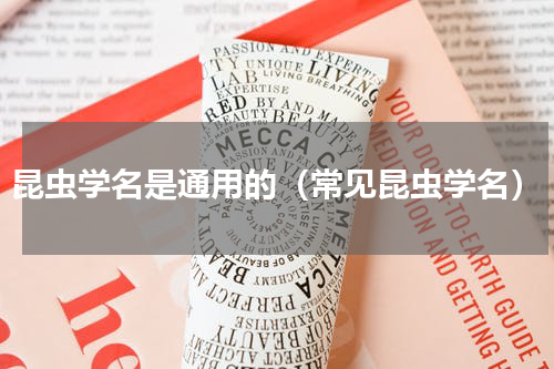 昆虫学名是通用的（常见昆虫学名）