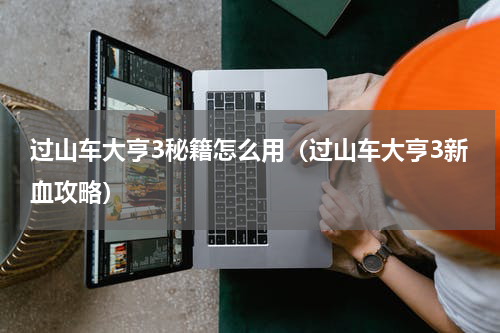 过山车大亨3秘籍怎么用（过山车大亨3新血攻略）